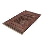 Nomád Kilim szőnyeg Adarskan 118x193 Kelim faliszőnyeg