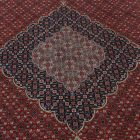 Nagyméretű szőnyeg Tabriz 245x355 eredeti perzsa szőnyeg a nappaliba