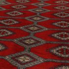 Pakisztáni szőnyeg piros Jaldar 153x259 kézi csomózású szőnyeg